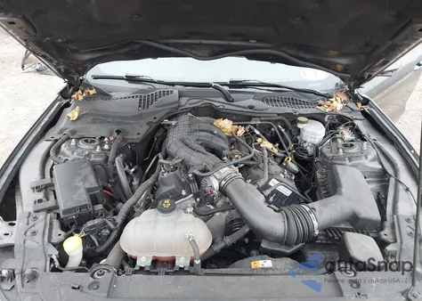 2016 Ford Mustang V6 z USA, uszkodzony, nr VIN 1FA6P8AM5G5298716